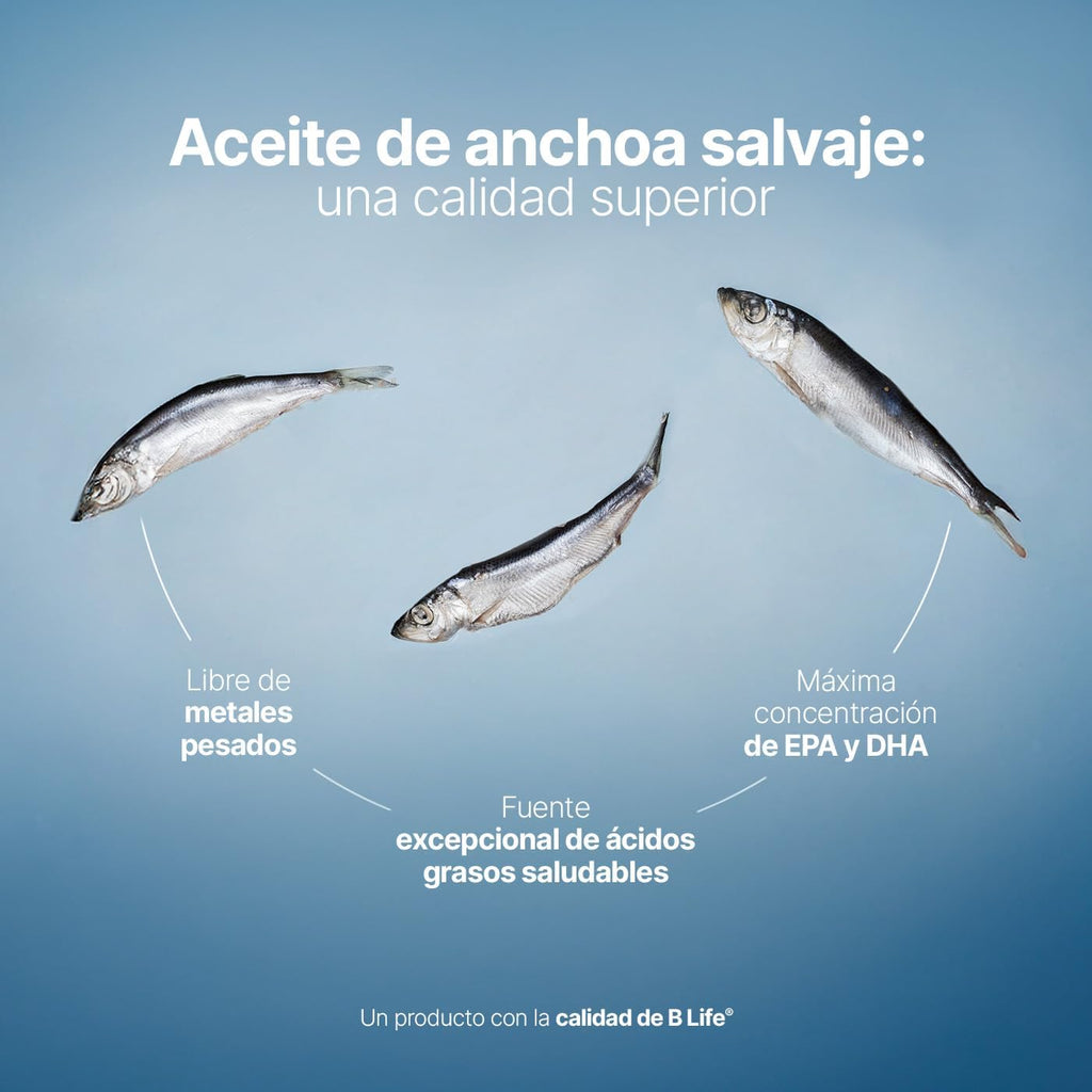 *Entrega exclusivo en Monterrey y su area metropolitana-  Omega 3 Aceite de Anchoa Salvaje con 180 Cápsulas de 1000 mg. Libre de Metales Pesados. Ingredientes Naturales. Omega 3 Platinum B Life.