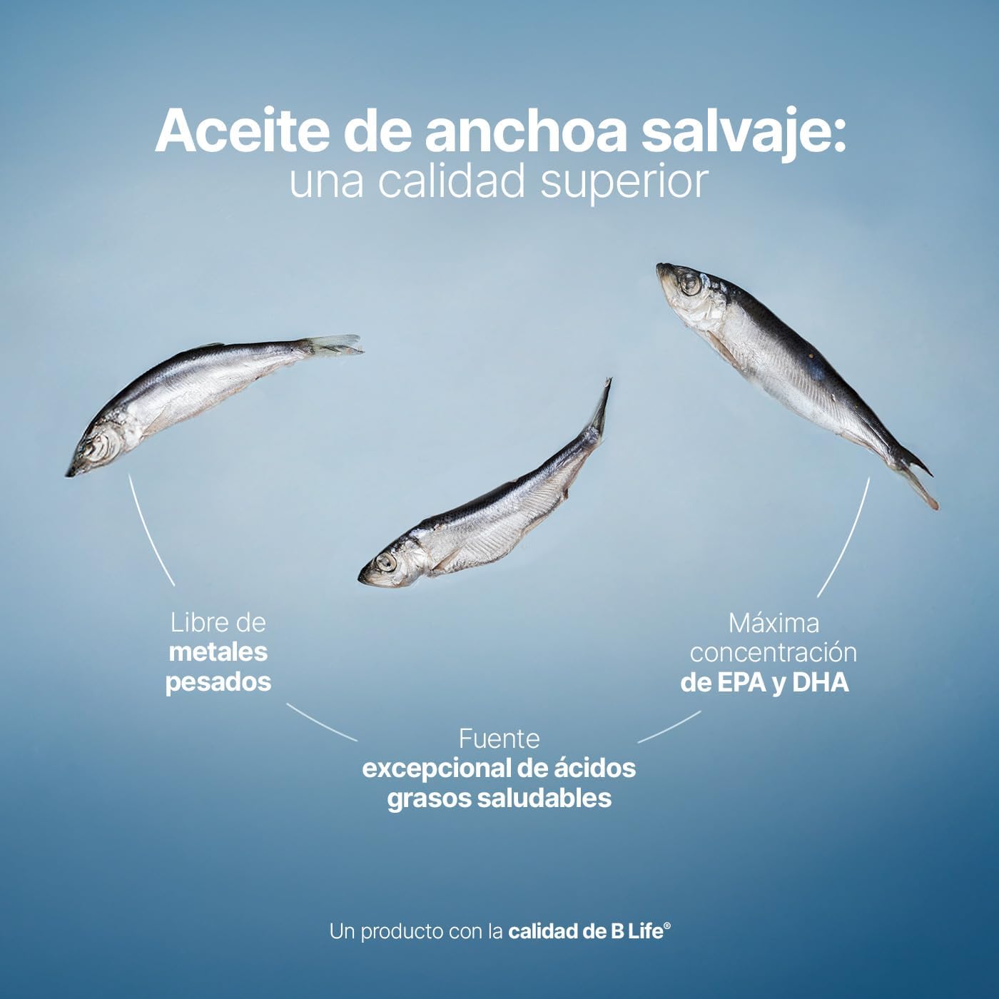 *Entrega exclusivo en Monterrey y su area metropolitana-  Omega 3 Aceite de Anchoa Salvaje con 180 Cápsulas de 1000 mg. Libre de Metales Pesados. Ingredientes Naturales. Omega 3 Platinum B Life.